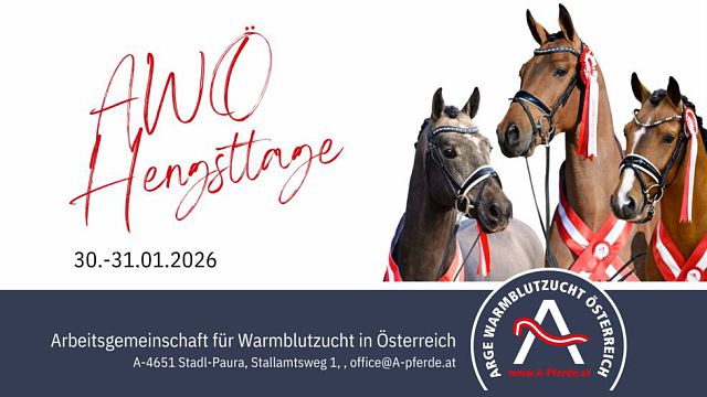 DraxisSleipnirBB_Brunner3