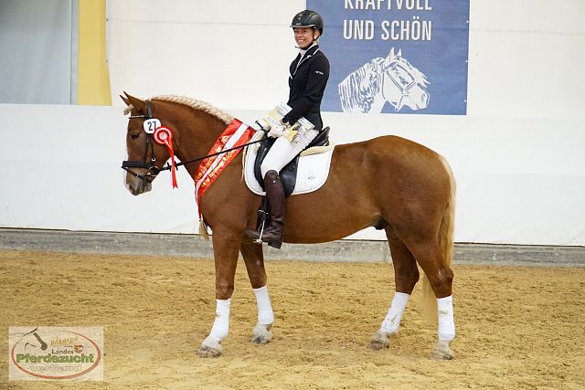 ARGE_NO_BuCha_2025-275