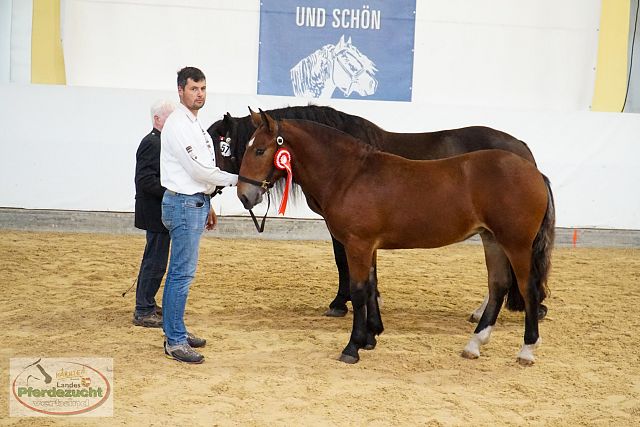 ARGE_NO_BuCha_2025-329