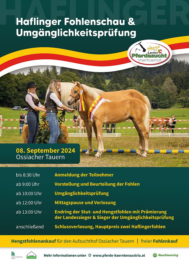 Plakat Fohlenschau 2019_1