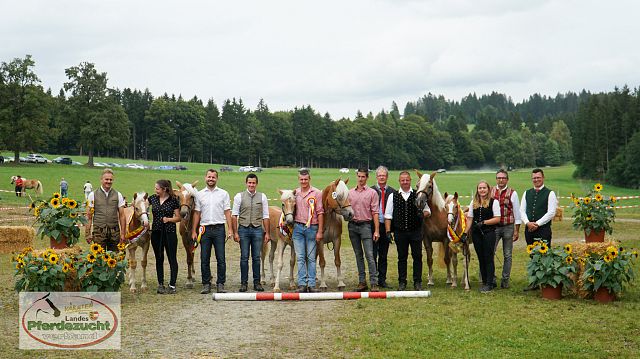 Ktn Ha Fohlenschau_2024-66