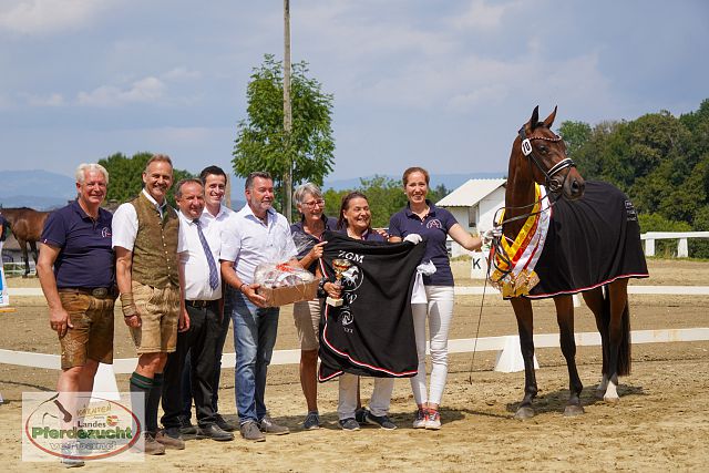 Plakat Pferdefestival