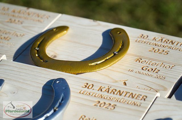 30. Kärntner Leistungsprüfung für Noriker & Haflinger