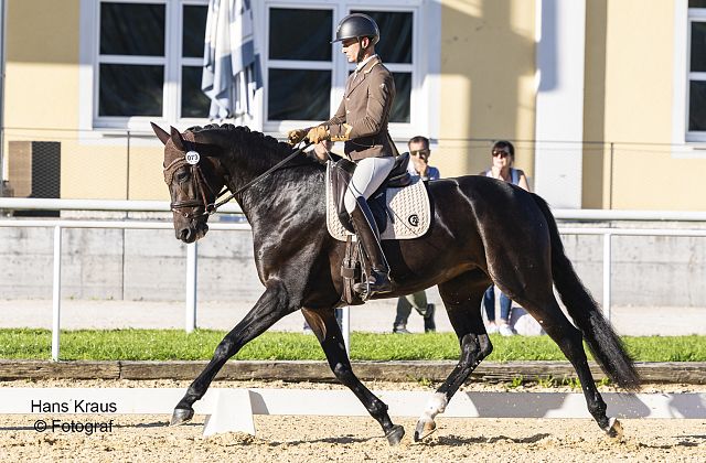 AWÖ Bundeschampionat 2025