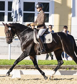 AWÖ Bundeschampionat 2025
