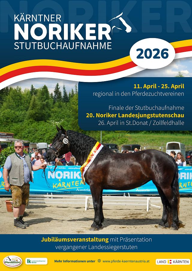 U1 2023 Noriker Stutenbuchaufnahme Druckdatei