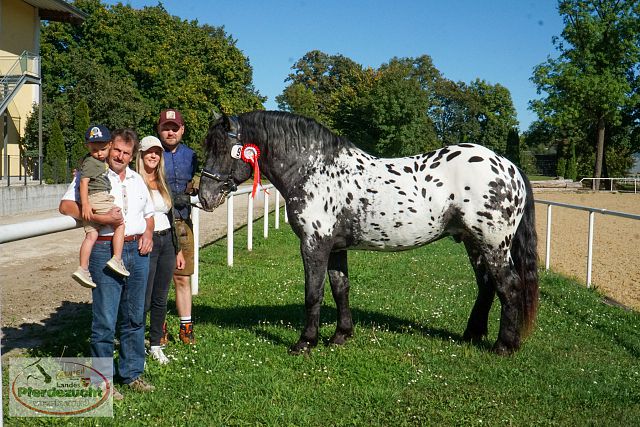 ARGE_NO_Körung_25-321