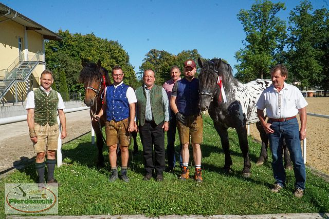 ARGE_NO_Körung_25-338