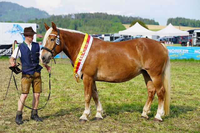 Kleo Landesschau 2014