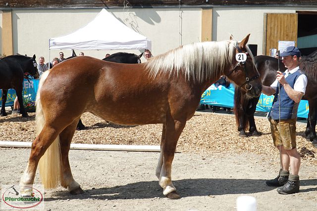 DSC01087 Lilibeth