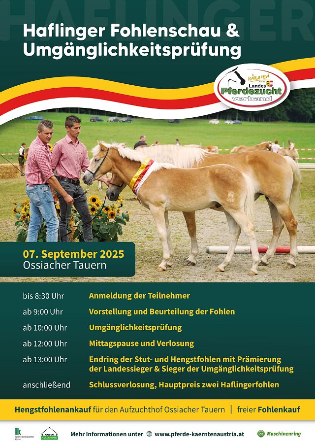Haflinger Fohlenschau und Umgänglichkeitsprüfung 2025_Zeichenfläche 1_Zeichenfläche 1
