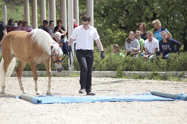 Hilea und wir bei der Haflingerweltausstellung 2010 - eine wunderschöne Zeit mit vielen Züchterfreunden