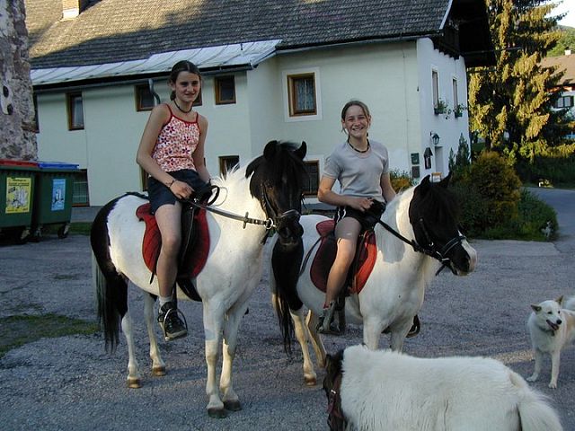 Jugend mit Ponies Lilly und Blümchen