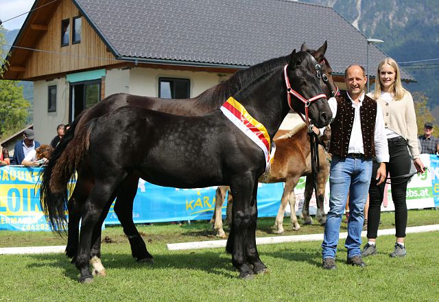 Landessiegerstutfohlen Tara n. Walencio Nero XVII – Z. Wolfgang Schupp, Vorderberg