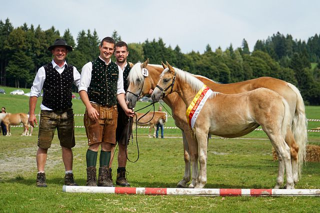 Maiglöckchen, Landessiegerstutfohlen, Z. u. B. Rudi Bacher, St. StefanGail