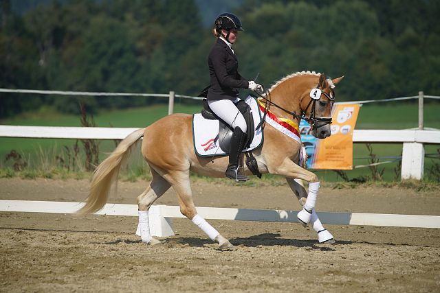 Mira RP DSC01659