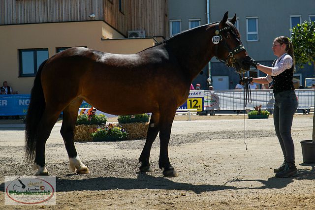 DSC00208