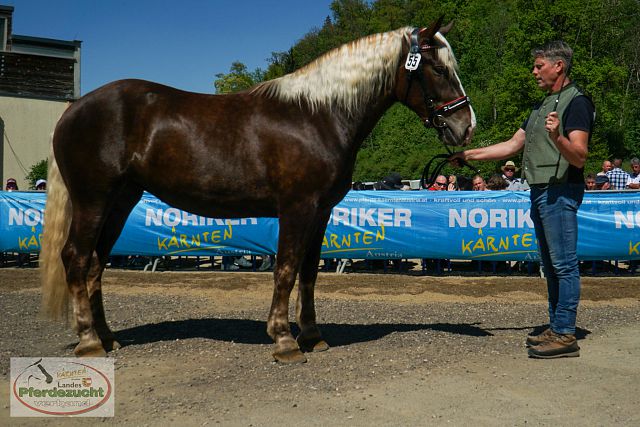NO_LJS_2025-146