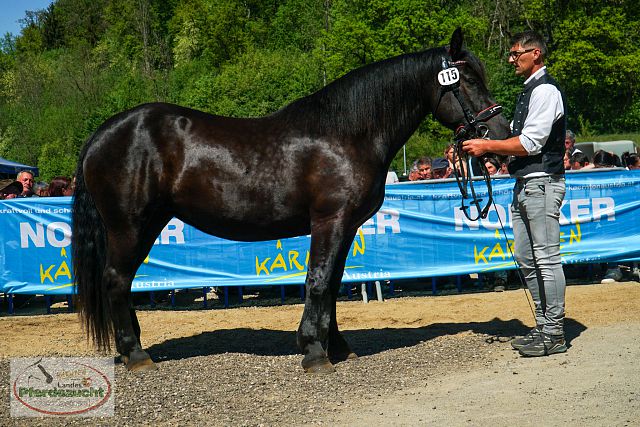 NO_LJS_2025-153