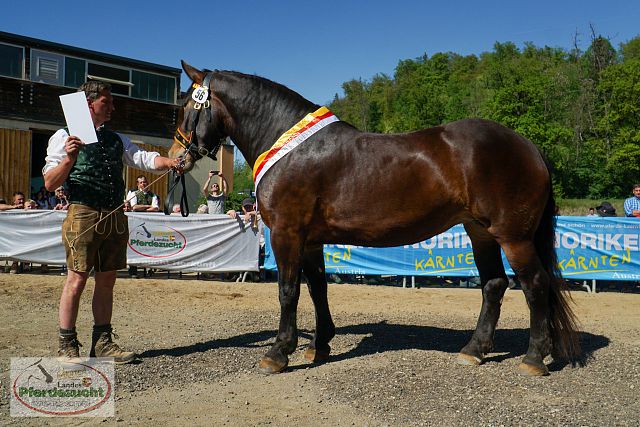 Landessiegerin Madona-Mandy