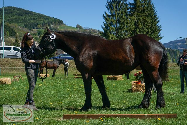 NO_STBA_Gmünd-24