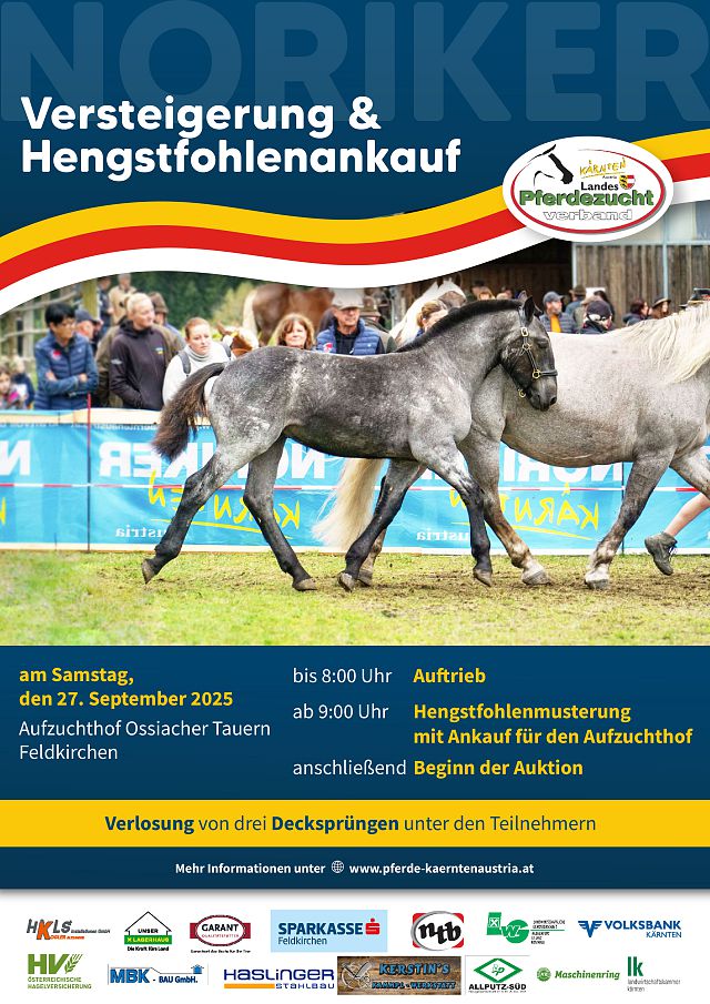 Screen Ossiacher Tauern Versteigerung Noriker 2023_