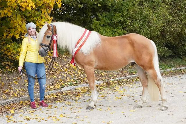 Waidblick HLP Sieger 2025