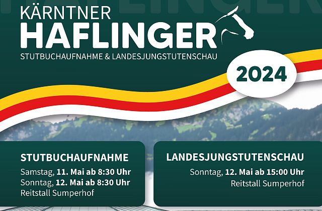 Haflinger Stutbuchaufnahme mit Landesjungstutenschau 2024