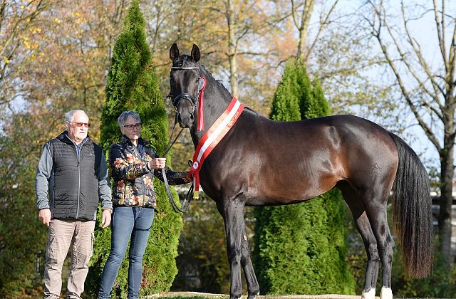 ZG Messner & Windisch aus Klagenfurt - Kärntner Warmblutzüchter des Jahres 2024