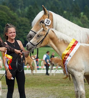 Kärntner Haflinger Fohlenschau und Haflinger Umgänglichkeitsprüfung 2024